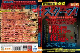 アダルトDVD・裏DVDサイト スクープ！ とある地方の有名温泉旅館 元映画監督が温泉支配人と共謀 女性客を襲って撮った真夏の夜の驚愕の夜這い エロ動画15篇