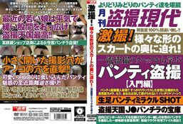 アダルトDVD・裏DVDサイト 激撮！様々な形状のスカートの奥に迫れ！一流盗撮テクニックから学ぶ