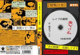 アダルトDVD・裏DVDサイト DISC2 ※限定プレス レイプの瞬間 2枚組8時間